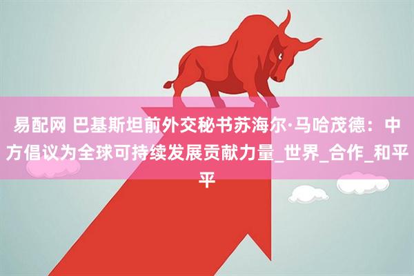 易配网 巴基斯坦前外交秘书苏海尔·马哈茂德：中方倡议为全球可持续发展贡献力量_世界_合作_和平