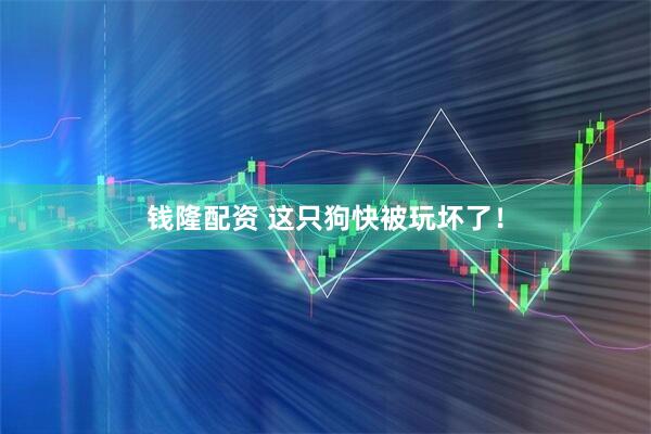 钱隆配资 这只狗快被玩坏了！