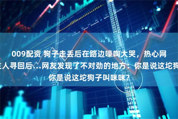 009配资 狗子走丢后在路边嚎啕大哭，热心网友报警让主人寻回后…网友发现了不对劲的地方：你是说这坨狗子叫咪咪？